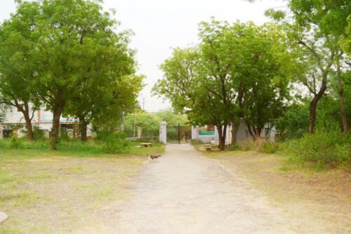 Mandir-Garden